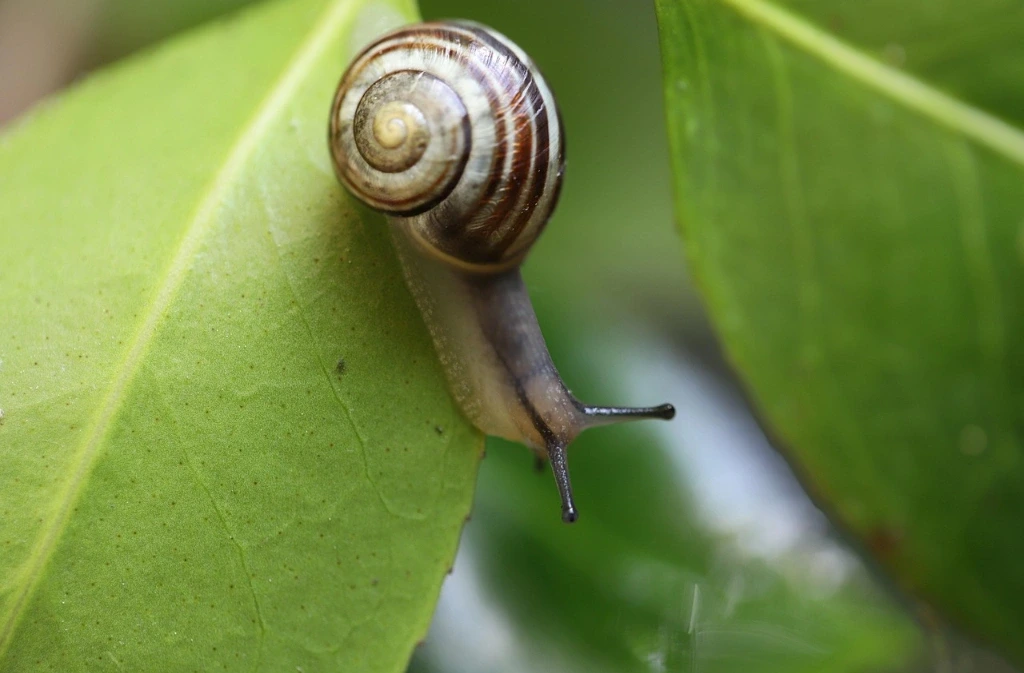 Les 24h de la biodiversité