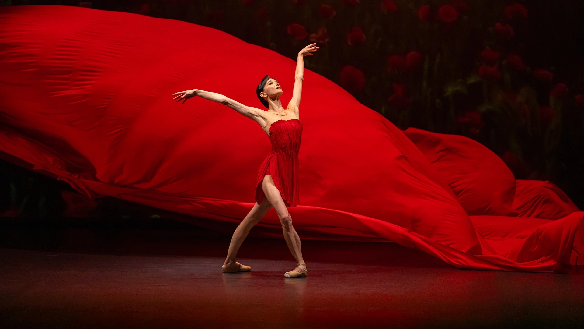 Le Temps d'Aimer la Danse - Lucia Lacarra Ballet - Lost Letters