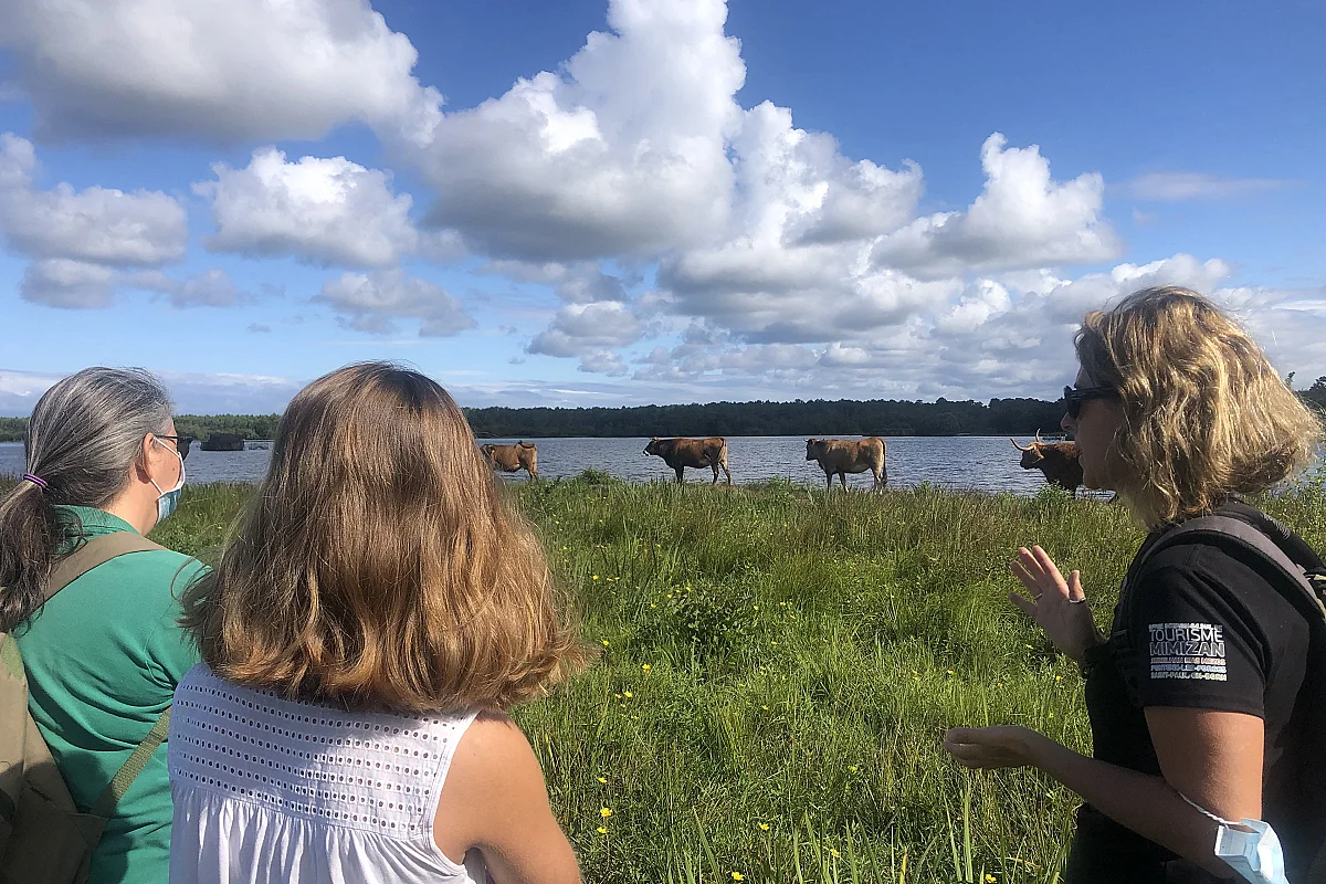 Promenade nature: Le tour du lac d'Aureilhan