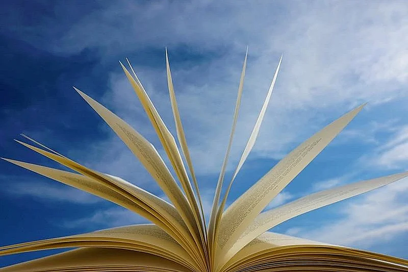 Conférence sur « la bibliothérapie »
