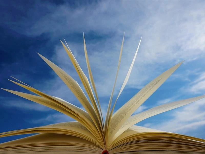 Conférence sur « la bibliothérapie »