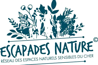 Traces et indices