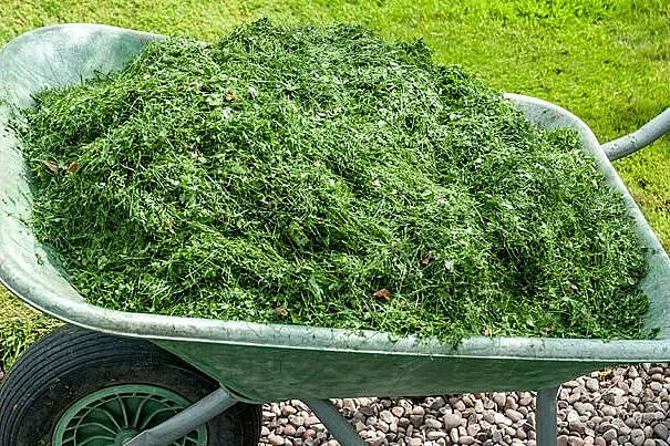 ATELIER "DES SOLUTIONS POUR RÉUTILISER FACILEMENT LES DÉCHETS DE JARDIN"