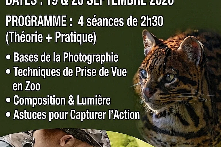 Cours gratuit de photographie animalière