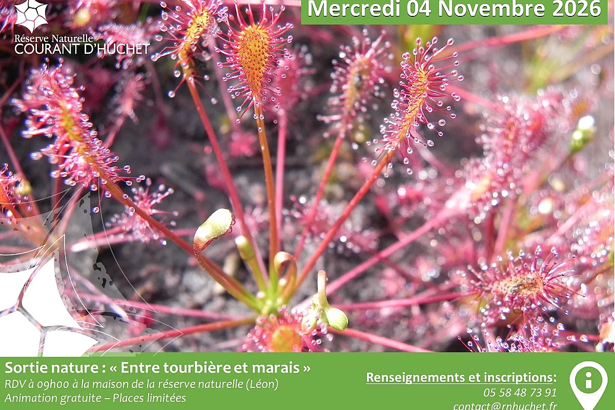 Sortie entre tourbière et marais