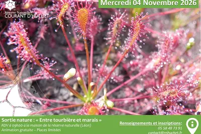 Sortie entre tourbière et marais