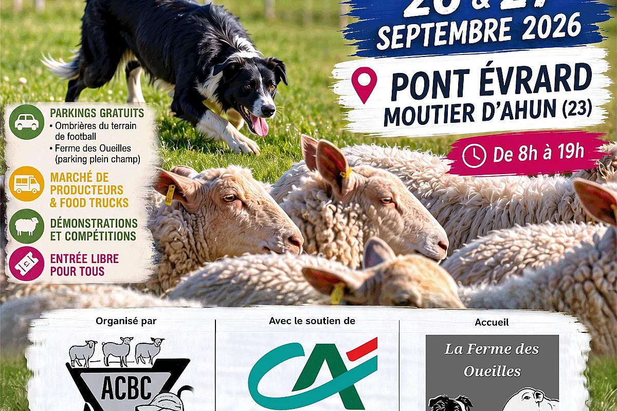 Championnat de France Inter-races de chien de troupeau