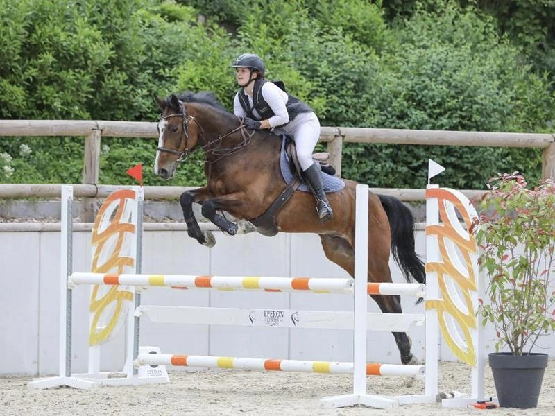 Concours de saut d'obstacles