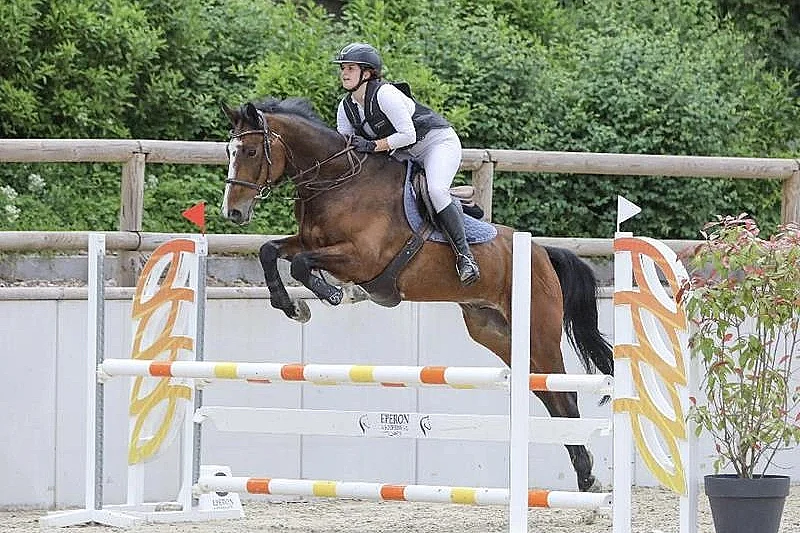 Concours de saut d'obstacles