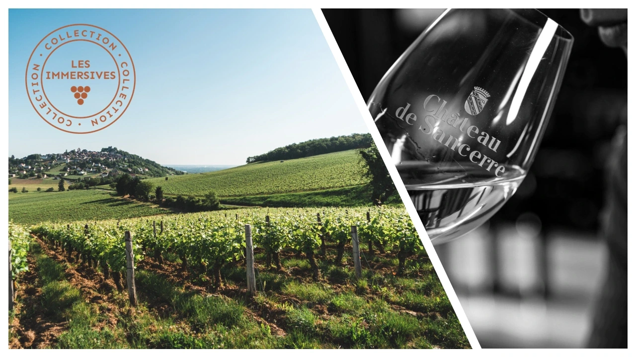[Vignobles en Scène !] Dégustation œno-olfactive avec Vins & Parfums x V.U.E. sur vignes