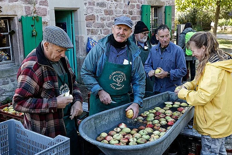 Au nom de la pomme