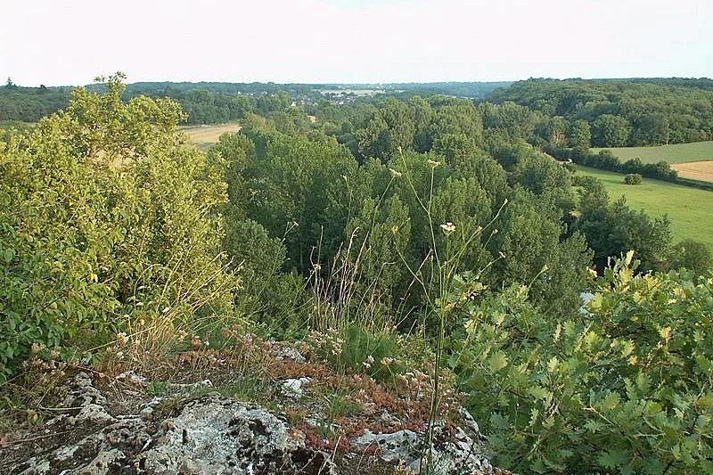 A la recherche du trésor d'Halloween au Bois des Roches