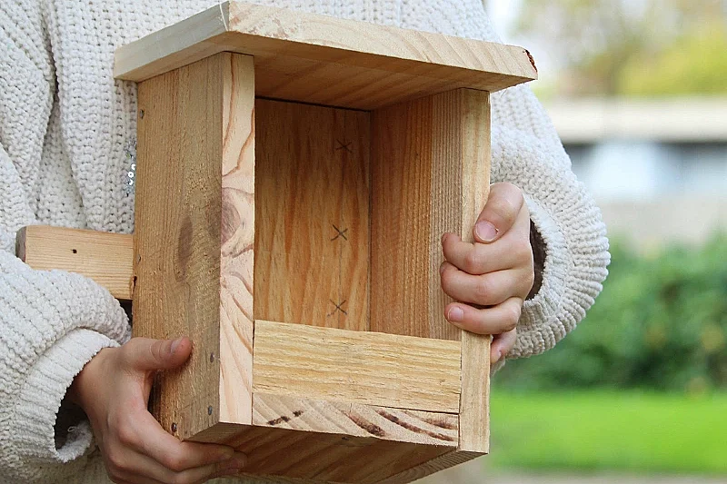 Construction d'une mangeoire à oiseaux à Terres d'oiseaux
