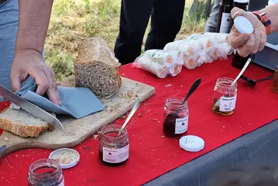 Cueillette de grenades à Martigues : Dégustation et récolte en famille