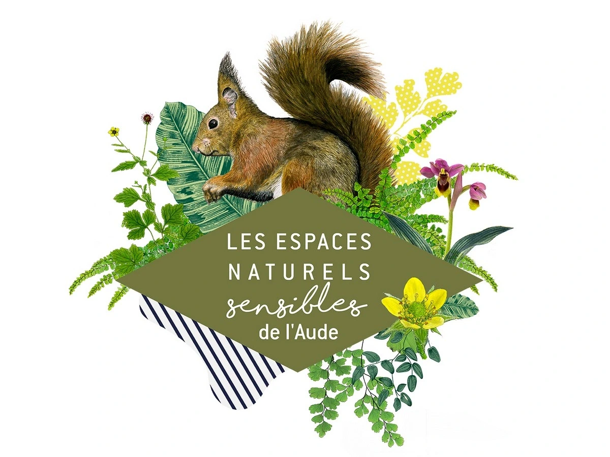 ENS - PROMENONS-NOUS DANS LES BOIS