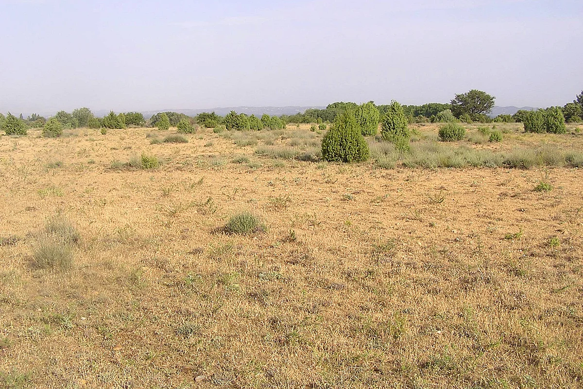 Balade naturaliste : Histoire et écologie de la Petite Crau