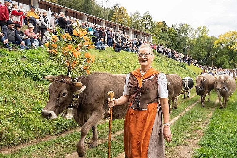 Fête de la Transhumance - Wandelfescht
