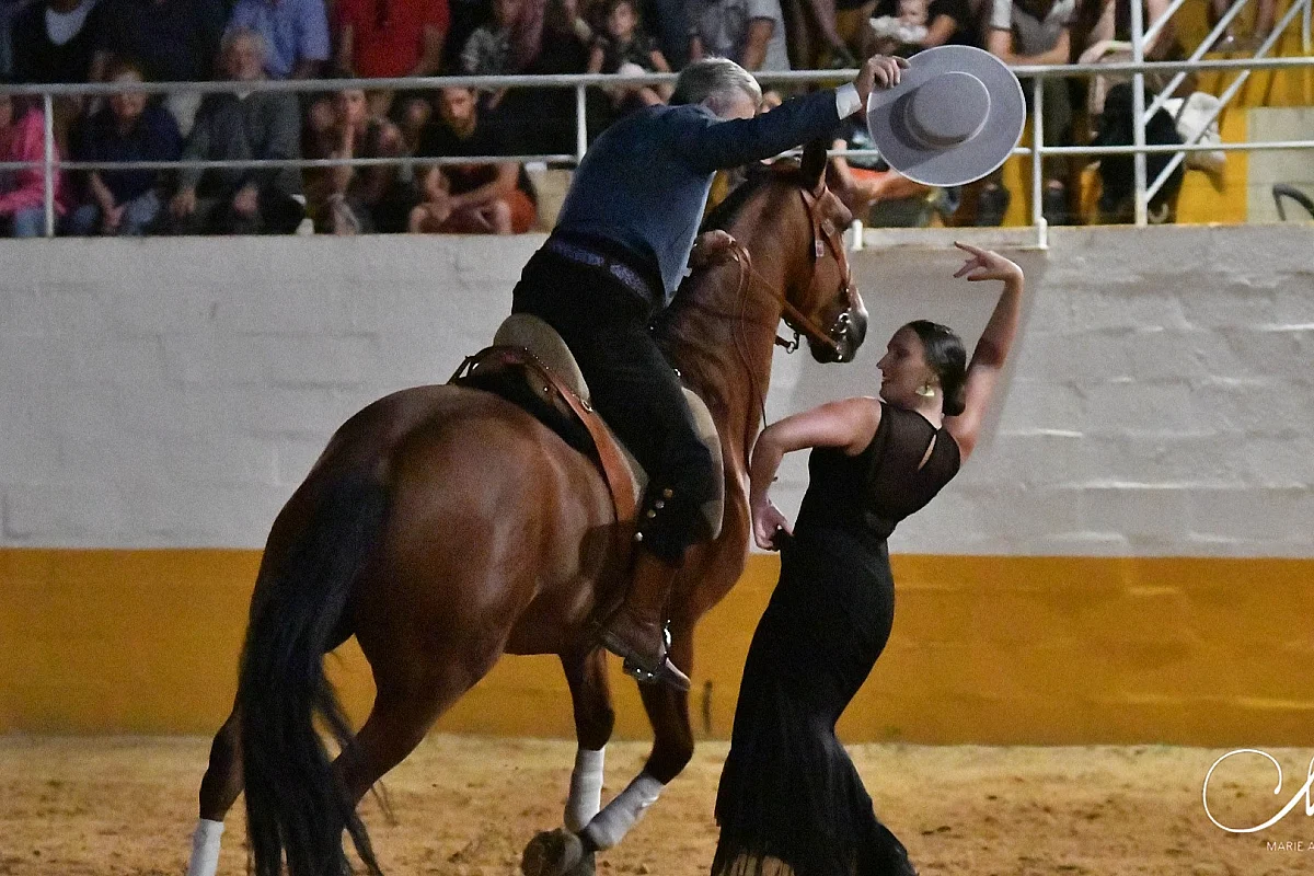 Spectacle hispano-landais