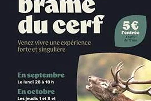 Les soirées brame du cerf
