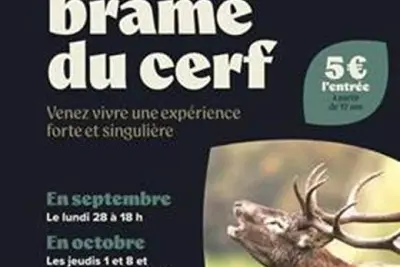 Les soirées brame du cerf