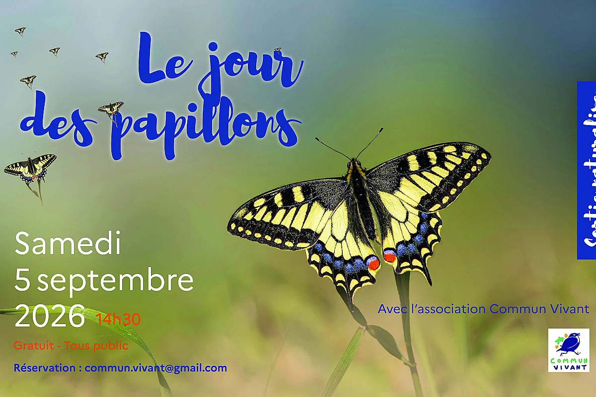 Le jour des papillons