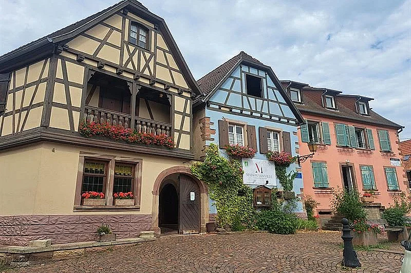 Découverte du métier de vigneron