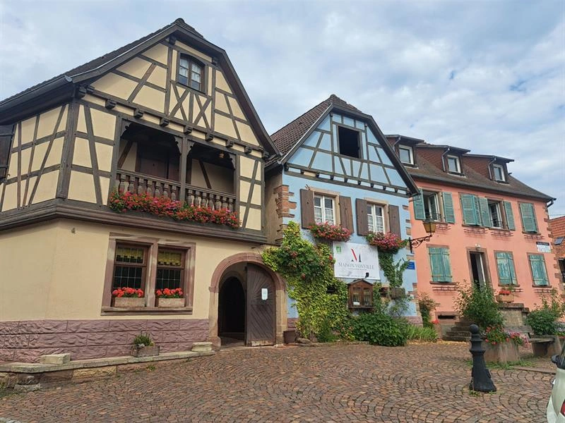 Découverte du métier de vigneron