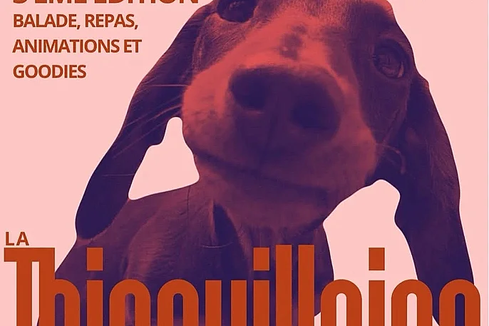 La Thionvilloise des teckels