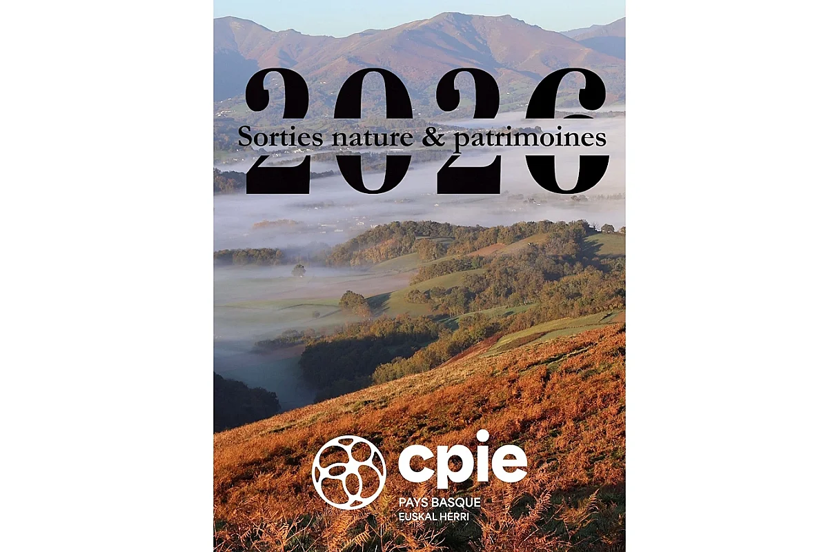 Sortie nature CPIE Pays Basque : "Les plantes sauvages de la rue"