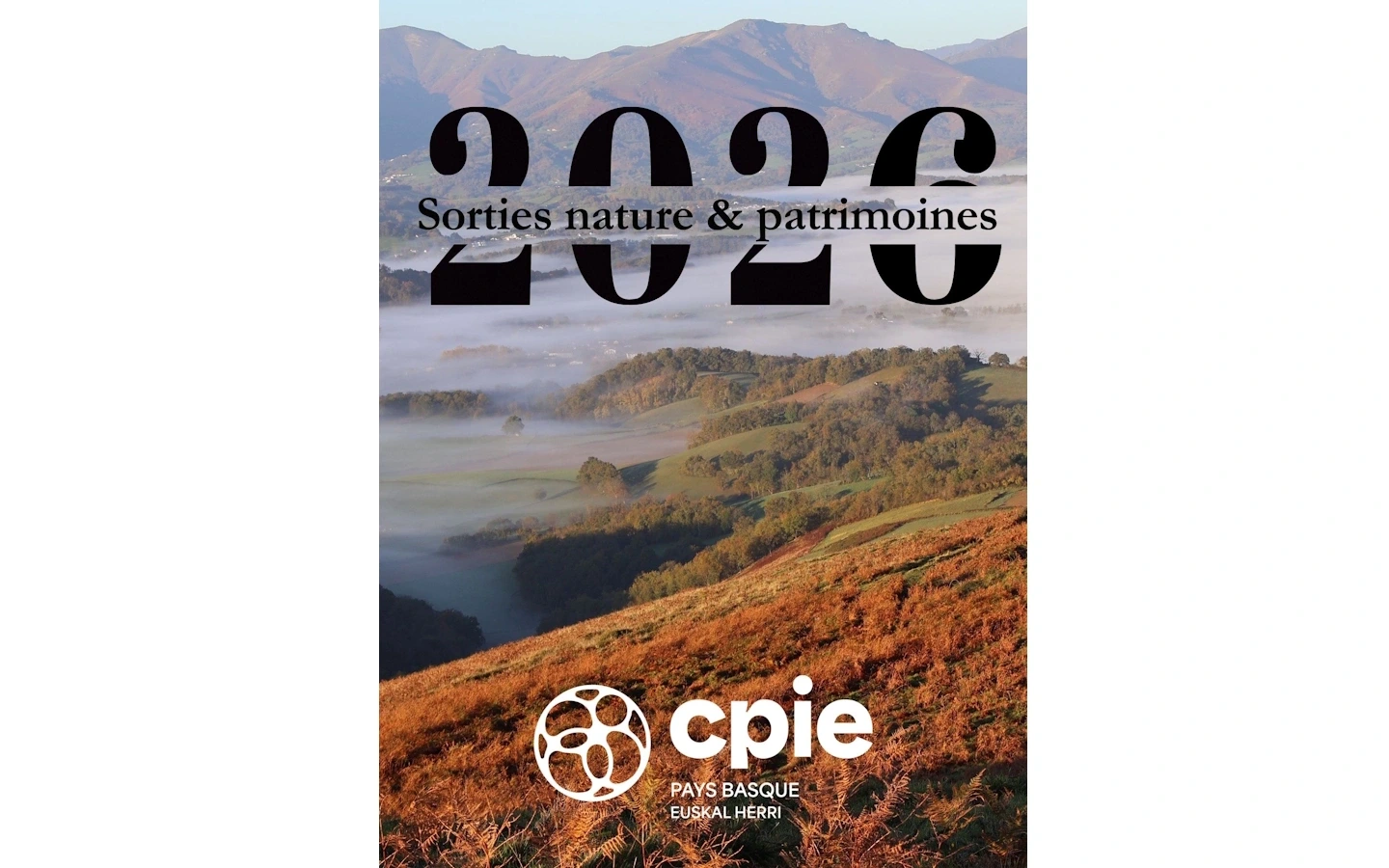 Sortie nature CPIE Pays Basque : "Les plantes sauvages de la rue"