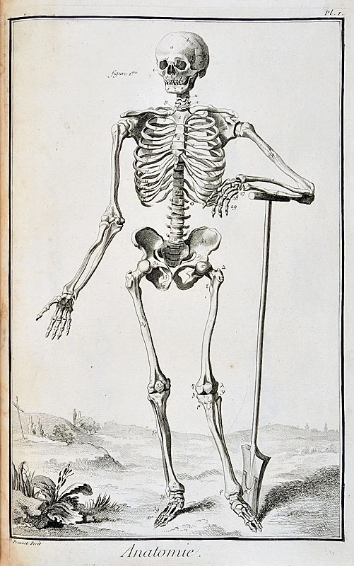 ARPL 2026 - Visite guidée des planches Anatomie de l'Encyclopédie