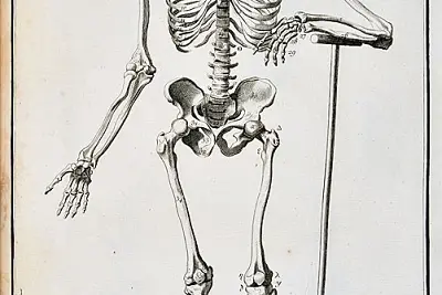 ARPL 2026 - Visite guidée des planches Anatomie de l'Encyclopédie