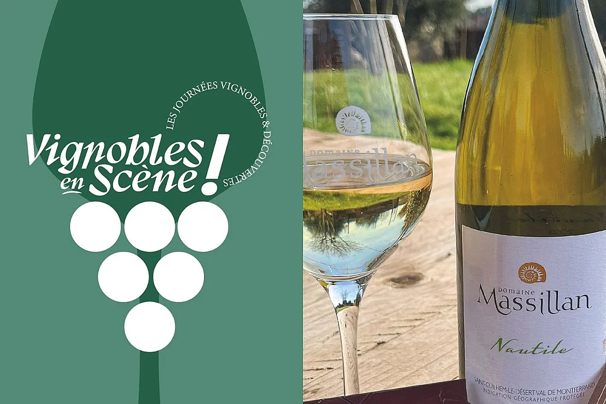 Ateliers accords chocolats et vins - Vignobles en scène