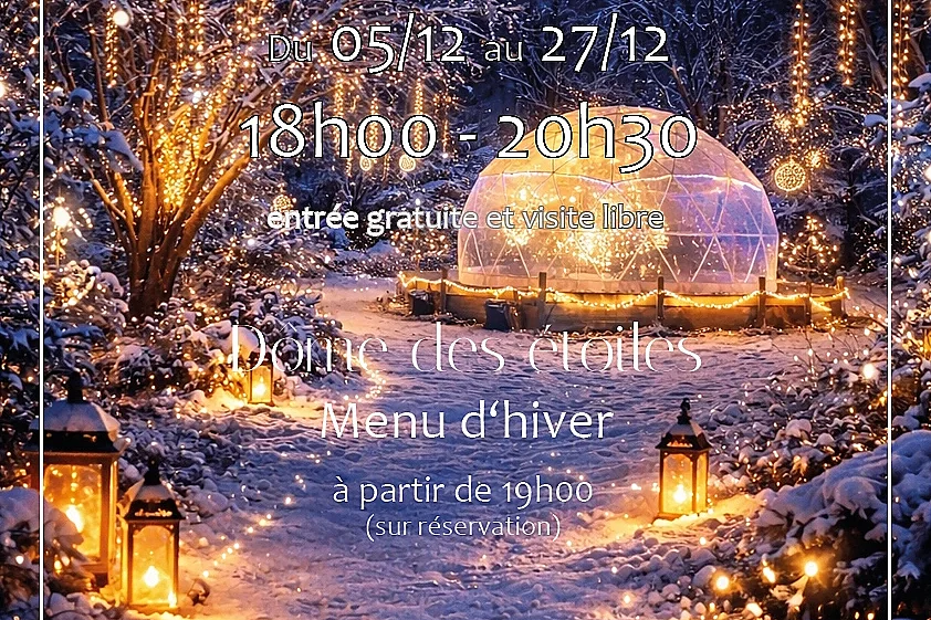 Nuit des lumières  - Noël à Chouzy-sur-Cisse