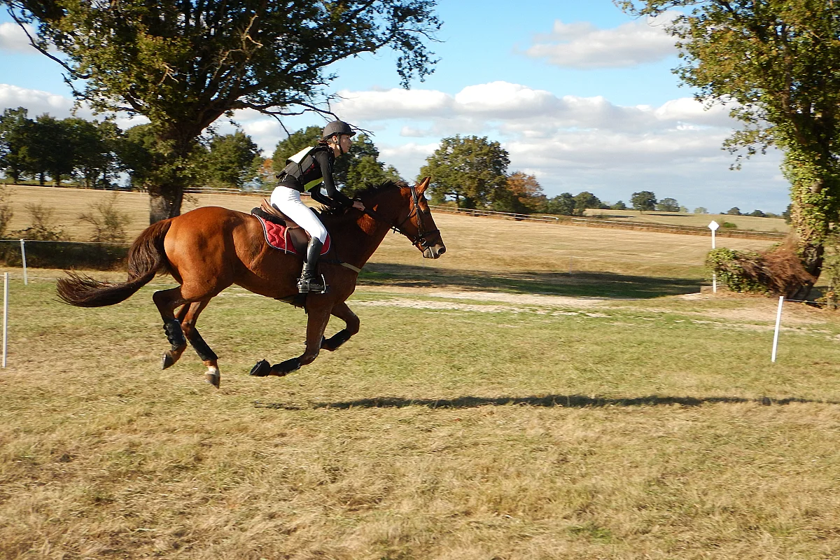 Finale nationale jeunes chevaux d’endurance