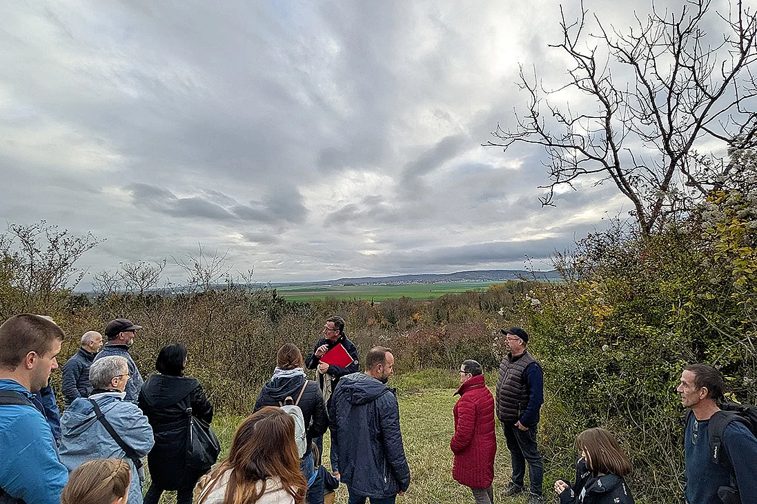Visite guidée à Berry-au-Bac : "La cote 108 et son cratère de mine"