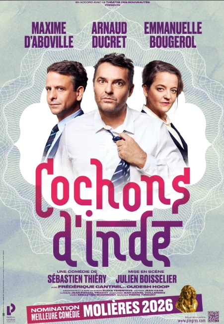 COCHON D'INDE