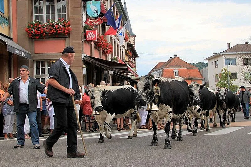 Fête de la transhumance et de la tourte
