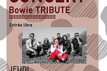 Bowie Tribute