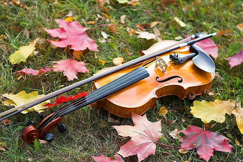 Flânerie gourmande en musique