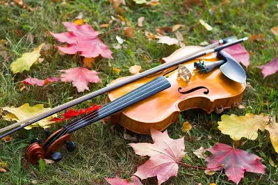 Flânerie gourmande en musique