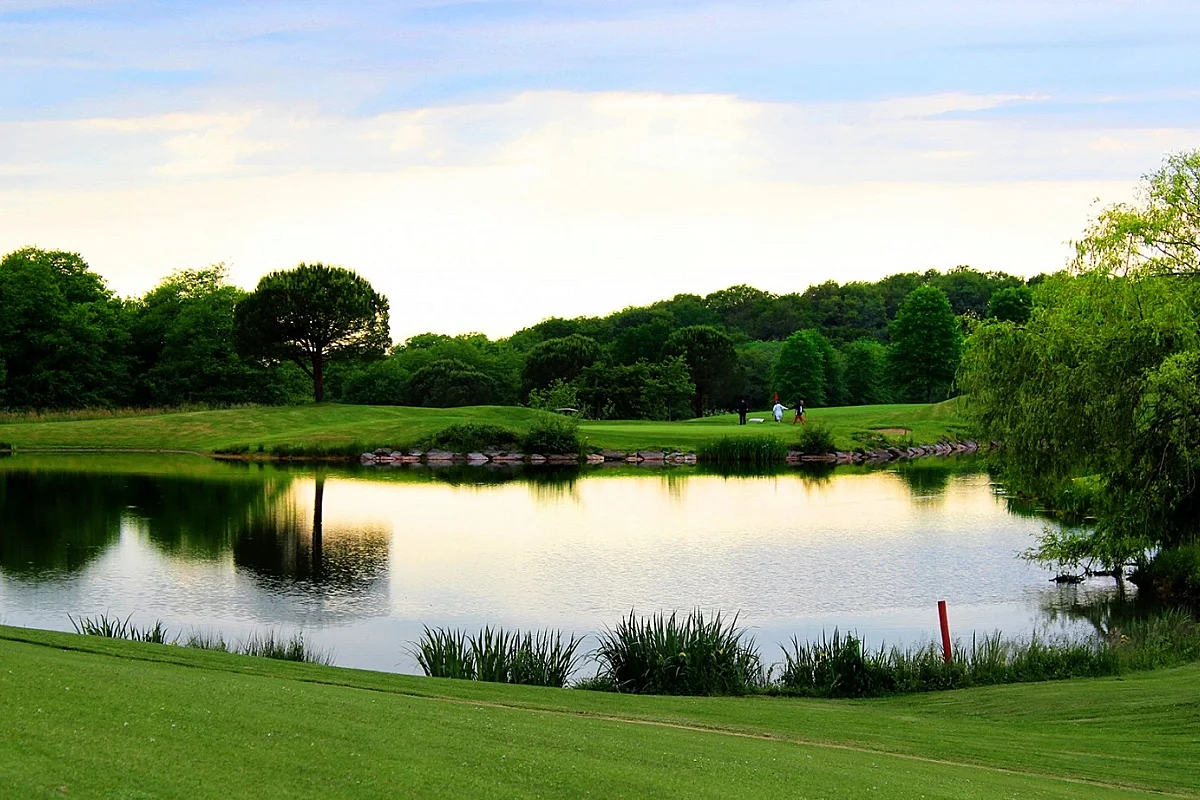 Compétition de golf : Classement