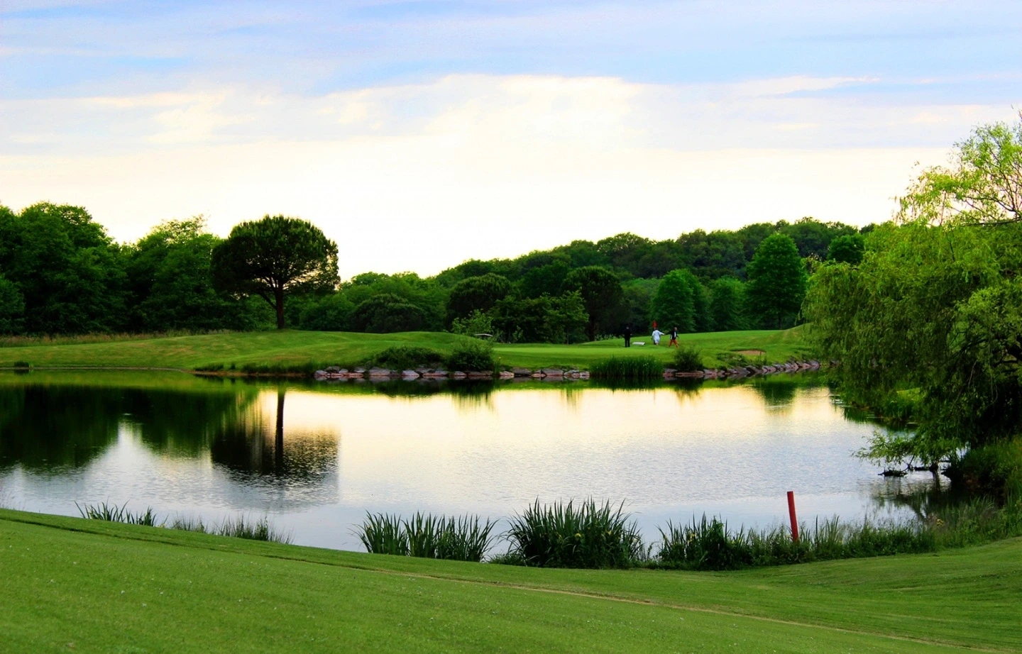 Compétition de golf : Classement