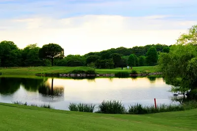 Compétition de golf : Classement
