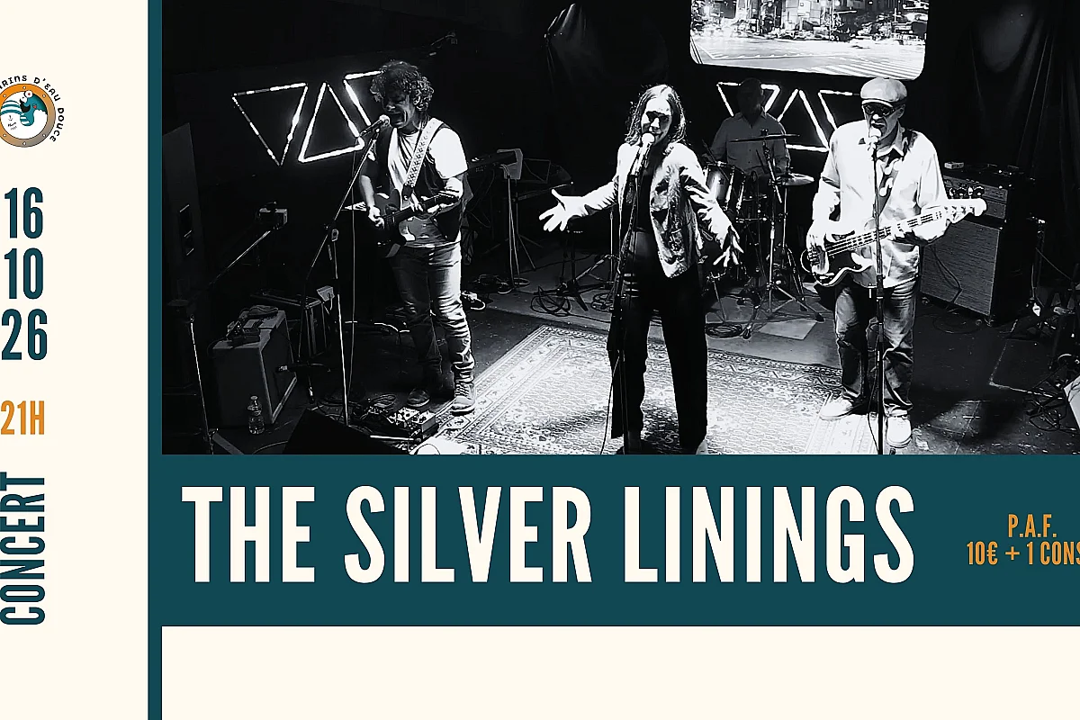 THE SILVER LININGS ➤ @MARINSDEAUDOUCE ➤ RAMONVILLE