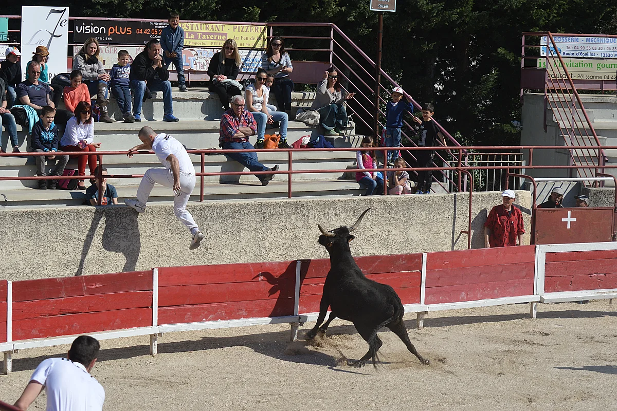 Course camarguaise  : Course de Ligue PACA