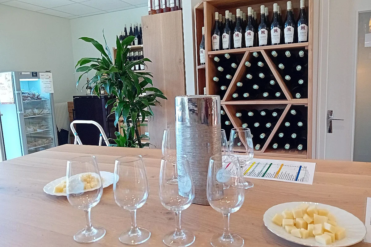 Dégustation de Vins du Jura