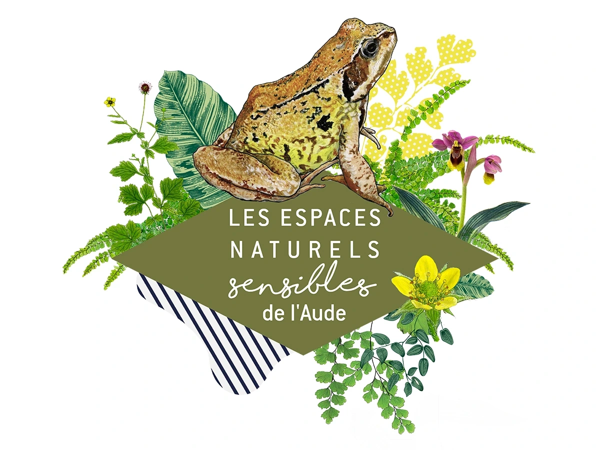 ENS - LES EXAL'TANTS !