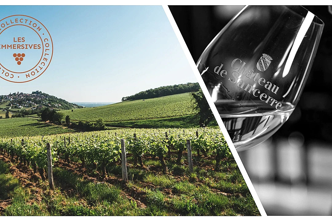 [Vignobles en Scène !] Dégustation verticale de notre cuvée historique: Regards sur l'empreinte des millésimes