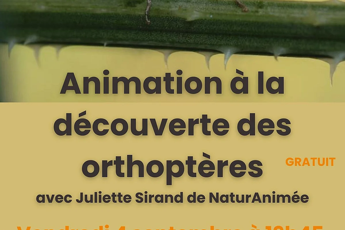 Maison de Garonne :  Animation à la découverte des orthoptères – tout public